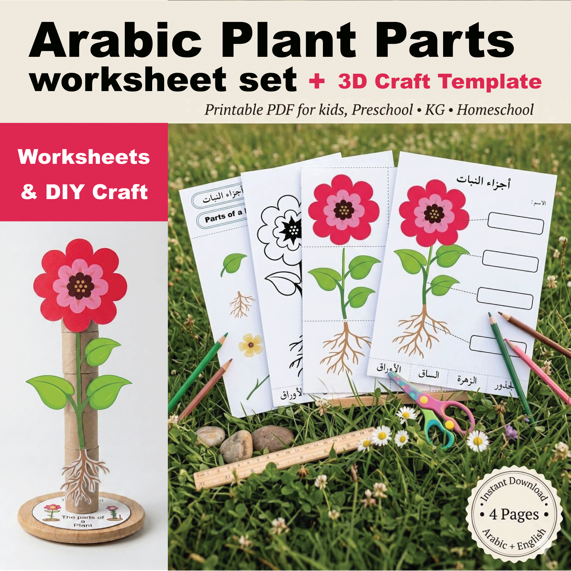 Arabic Parts of a Plant Worksheet & Craft | Science Printable for G1 & KG